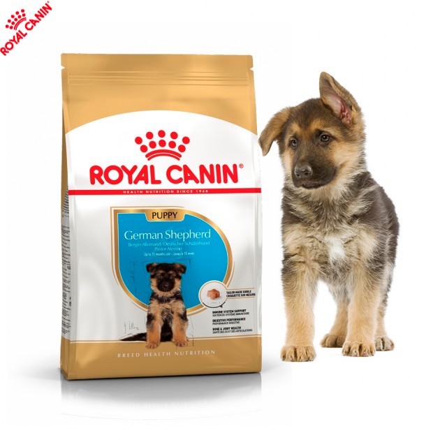 Royal canin german shepherd Puppy 3Kg Pet Shop